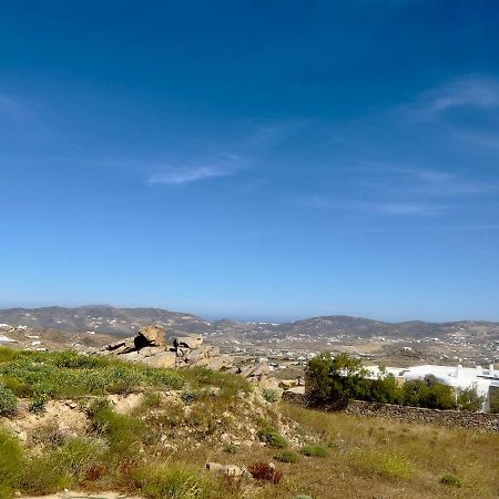 アギオス・ステファノス Lux Mykonos Houseヴィラ エクステリア 写真