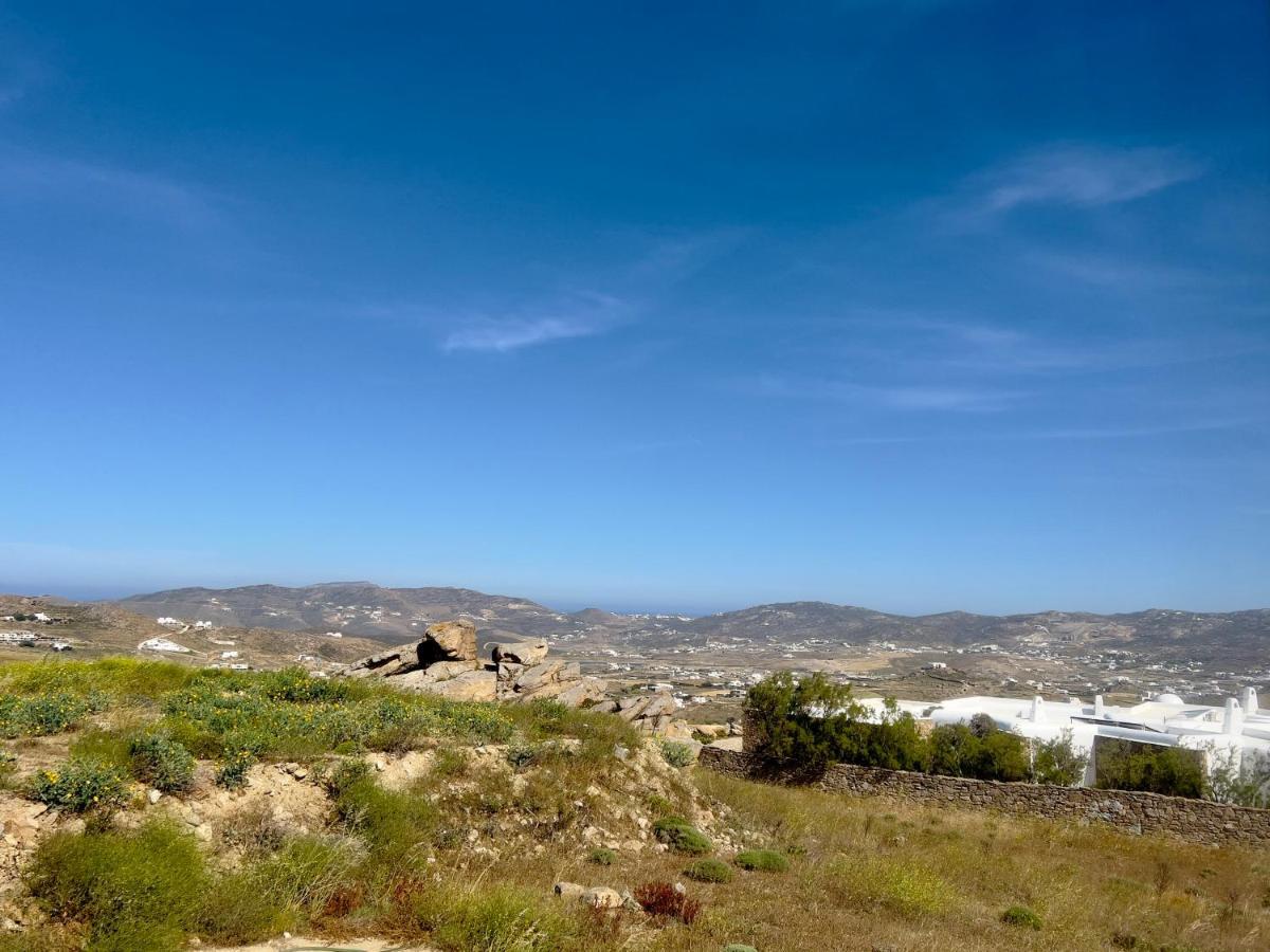 アギオス・ステファノス Lux Mykonos Houseヴィラ エクステリア 写真